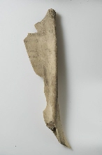 Fragment with Coptic inscription