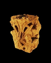 Vault stone of an archivolt