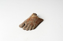 Fragment of a foot