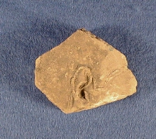 Fragment van een reliëf