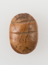 Uninscribed scarab