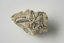 Fragment van een ostrakon: Horusvalk