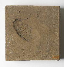 Mould for bird-shaped object