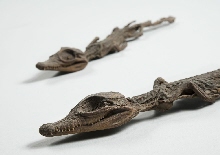 Mummie van een jonge krokodil