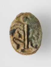Scarab with plants