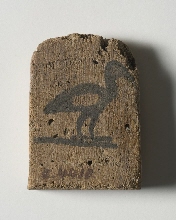 Label decorated with bird