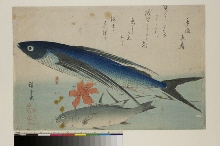 Grands poissons, 2e série (groupe rajouté): Tobiiro et ishimochi, avec fleur de lis