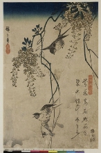 Wakan rōeishū (Anthologie de poèmes chinois et japonais à déclamer): Glycines et hirondelles