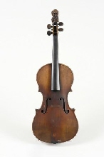 Little viola