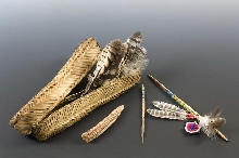 Falcon feathers