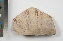 Vase fragment decorated with red vertical lines