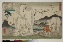Nijūshikō dōji kagami (Mirroir de vingt-quatre exemples de piété filiale pour les enfants): ): Shun (Taishun) et les éléphants
