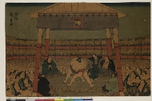 Tournoi de sumō au Temple Ekōin, dans la Captale de l'Est