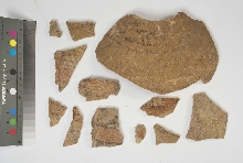 Fragments of the shoulder of a vase