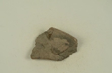 Fragment de bord d'un vase