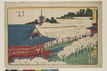 Edo meisho : Le Temple Kinryūzan à Asakusa