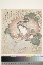 Une pivoine et une chrysanthème pour le cercle Sakuragawa