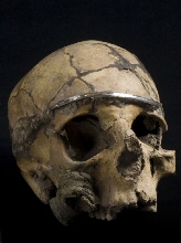 Crâne avec diadème en argent