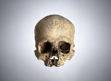 Crâne d'ancêtre - "puoko moa"