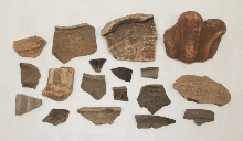 Sherds and architectural terracotta