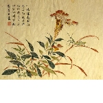 80 prints from the Jieziyuan huazhuan 芥子园画谱 (Painter's manual of the Mustard seed garden): III Birds, flowers and insects