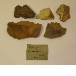 Flint fragments
