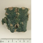 Fragment of a double lug of a jar