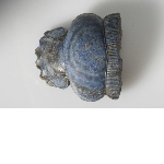 Fragment of a scarab 'of Bahariya'