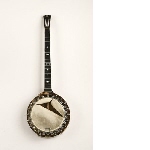 Zither-banjo