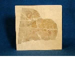 Fragment of a relief of pharaoh Thutmosis III