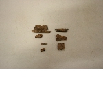 Fragments of bone combs
