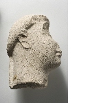 Fragment of a head