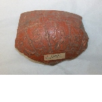 Fragment of a terra sigillata bowl, Drag. 37
