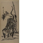 Tiger (framed)