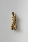Fragment of a bone