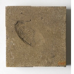 Mould for bird-shaped object