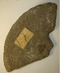 Fragment of a grinding stone