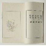 Shizhuzhai shuhua pu: "Collection of stationary from the Ten bamboo studio 十竹齋書畫譜": 4 volumes in a box covered in yellow silk, edition 1952 of 17th c. paper