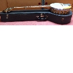 Five-string banjo, model "13022, Nashville N-Line"