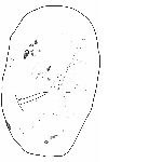 Pebble ("poro") with drawings of vulvas: "komari"