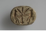Scarab with monkeys shaking palm tree