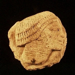 Fragment of a relief: head of a foreigner