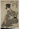 MRAH-JP.00259・・歌麿〈1〉「江戸の花娘浄瑠璃」