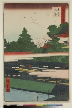 Meisho Edo hyakkei (Cent vues d'endroits célèbres d'Edo): Le sanctuaire de Hachiman à Ichigaya