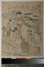 Kaiko yashinai gusa (Culture des vers à soie): N°5 - Nourir les chenilles avec des feuilles entières