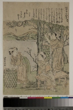 Kaiko yashinai gusa (Culture des vers à soie): N°2 - Rassembler des feuilles de murier