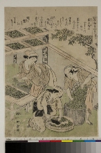 Kaiko yashinai gusa (Culture des vers à soie): N°3 - Nourir les chenilles
