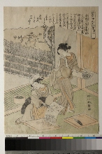 Kaiko yashinai gusa (Culture des vers à soie): N°1 - Rassembler les oeufs