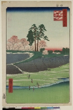 Meisho Edo hyakkei (Cent vues d'endroits célèbres d'Edo): Colline de Goten à Shinagawa