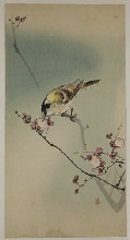 Oiseau sur branche de prunus